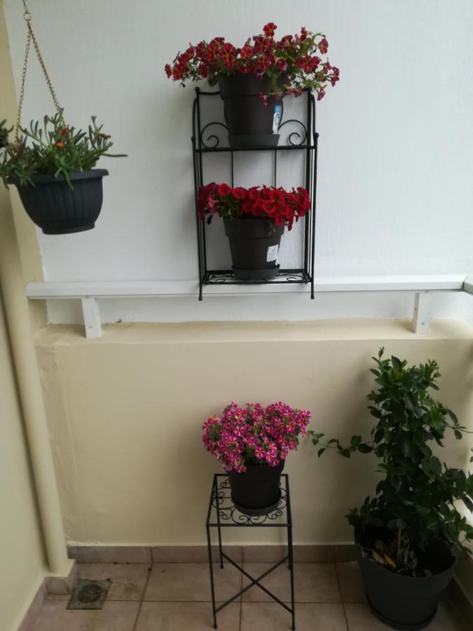 Apartment Ey Zhn Néa Khilí 外观 照片